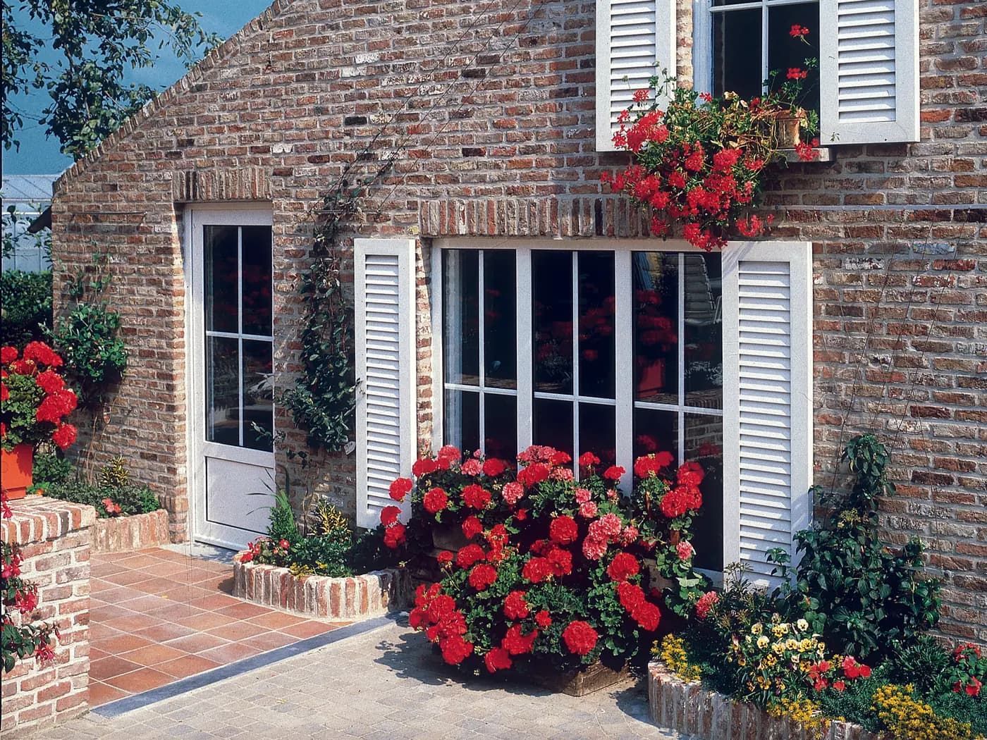 Window with shutters: louvred shutters to match the white frame